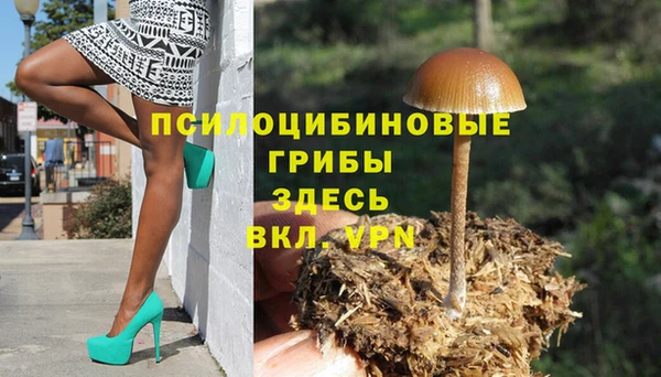 тгк Алексин
