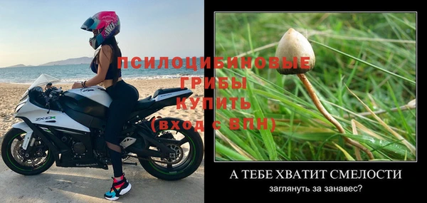 тгк Алексин