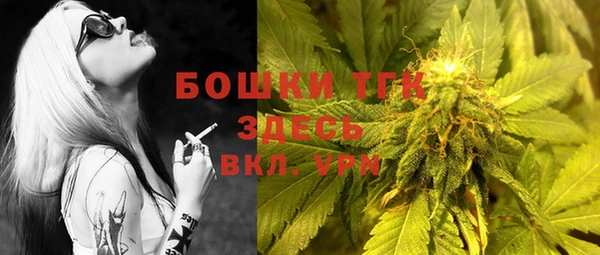 тгк Алексин