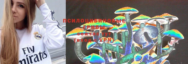 тгк Алексин