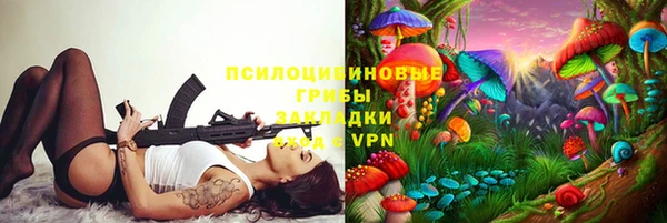 тгк Алексин