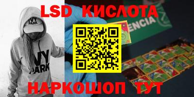 spice Новодвинск