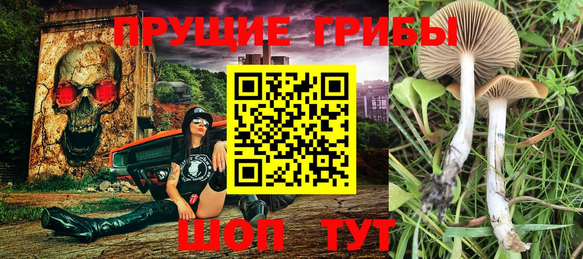 Галлюциногенные грибы MAGIC MUSHROOMS Пушкино