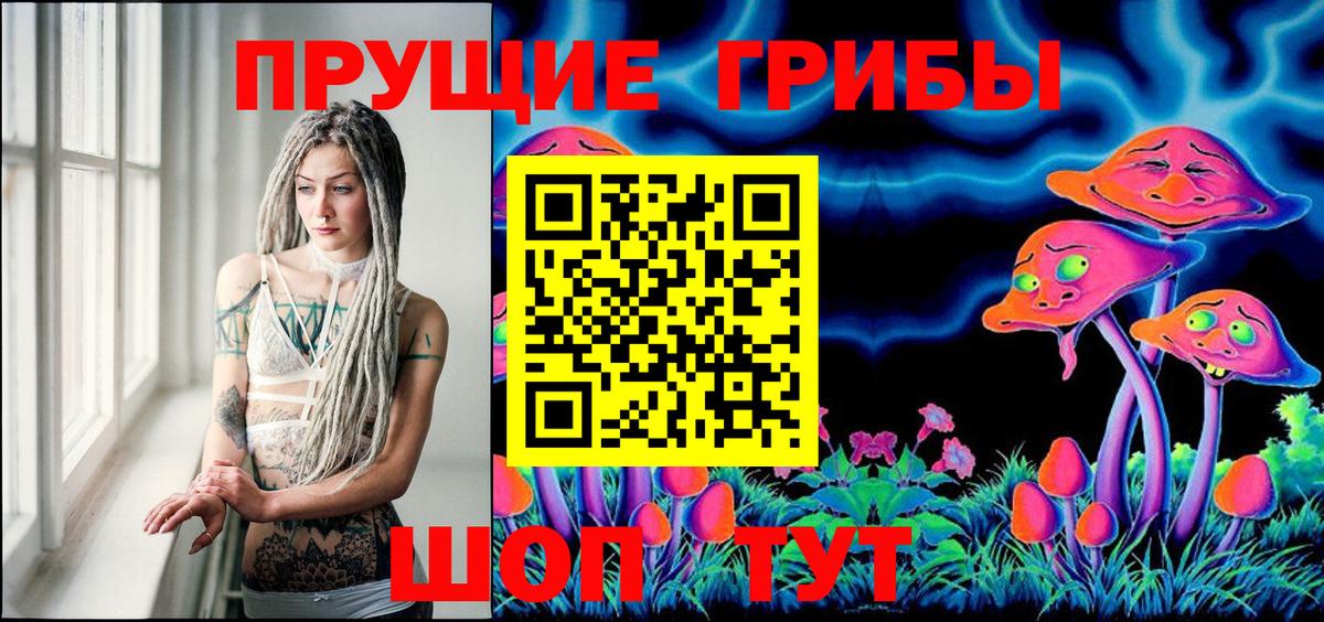 Галлюциногенные грибы Psilocybine cubensis  Вход с VPN  Пушкино 