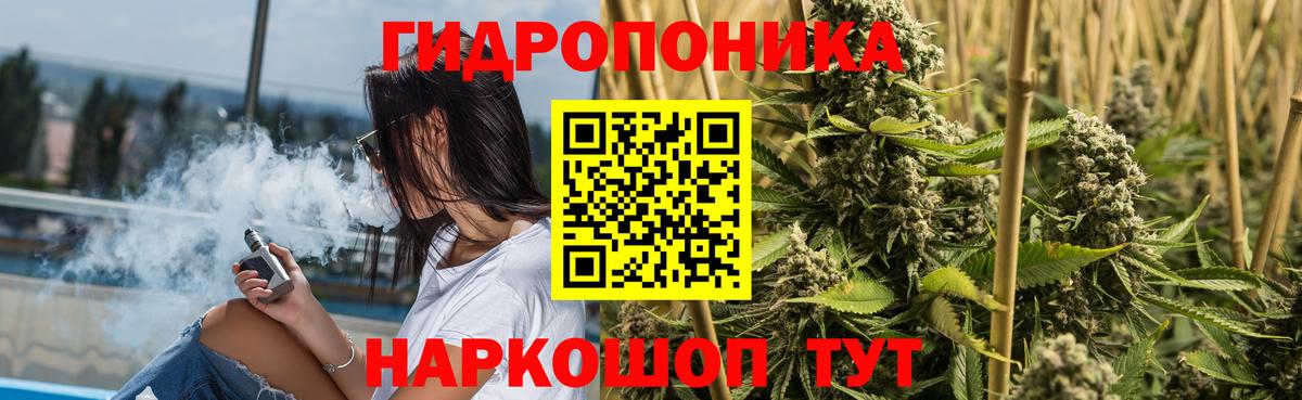 Каннабис THC 21%  Марихуана Ganja  Вход с VPN  Пушкино  Бошки марихуана план  Марихуана AK-47 